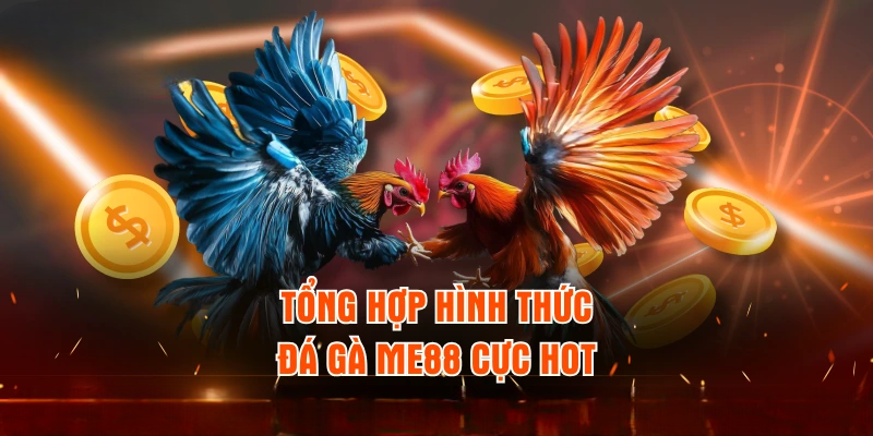 Đá Gà ME88 – Tận Hưởng Giải Đấu Chuyên Nghiệp, Hấp Dẫn